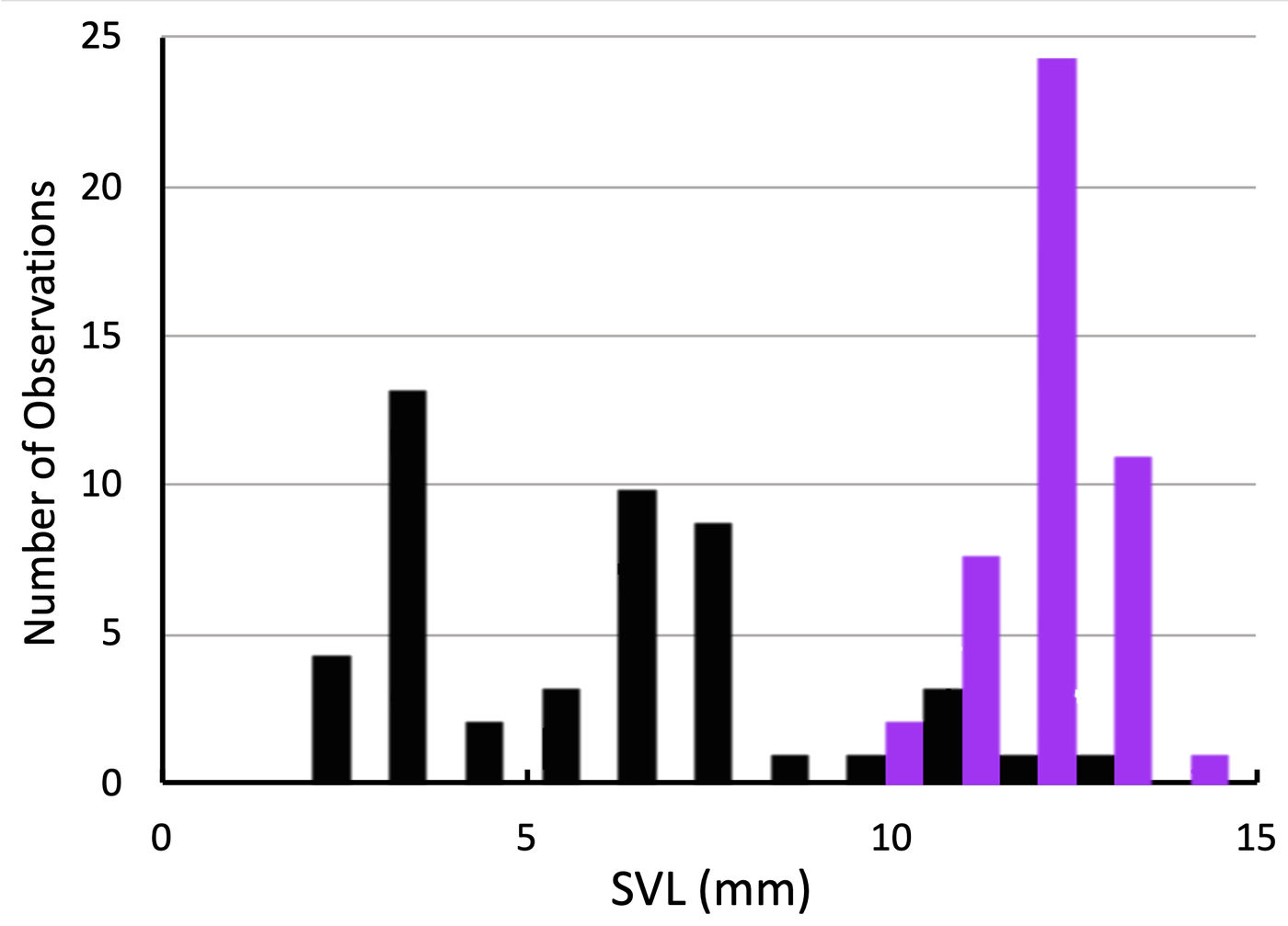 Histogram of tadpole snout-vent length, with bubble-sucking breaths in black and breaching breaths in purple